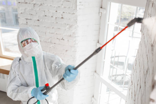 Best Forensic Mold Investigation  in Laurel, FL