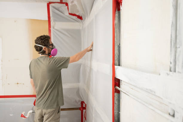 Best Mold-Related Health Consultation  in Laurel, FL