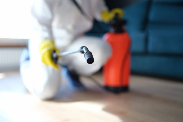 Best Indoor Air Quality Assessment  in Laurel, FL