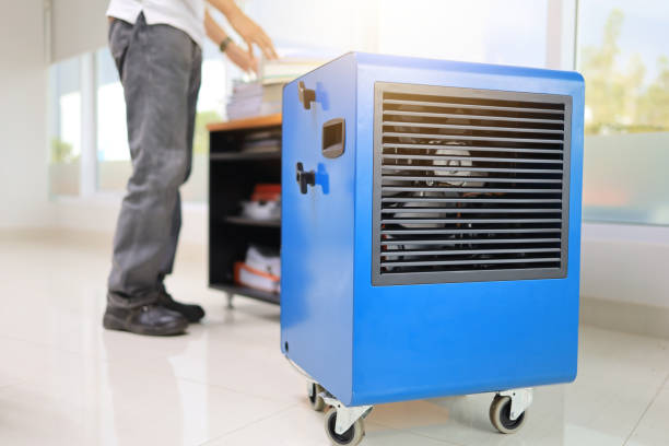 Best Emergency Mold Remediation  in Laurel, FL