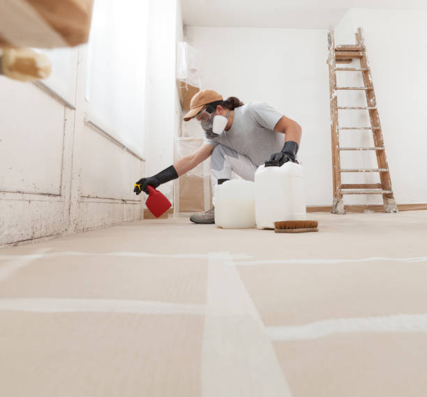 Biohazard Mold Removal in Laurel, FL